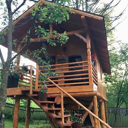 Domeniul Horj Casa Din Cires Moisei Exterior foto