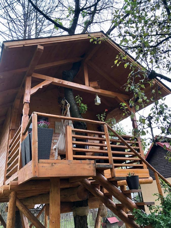 Domeniul Horj Casa Din Cires Moisei Exterior foto