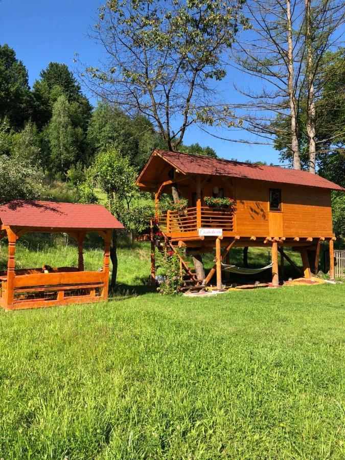 Domeniul Horj Casa Din Cires Moisei Exterior foto