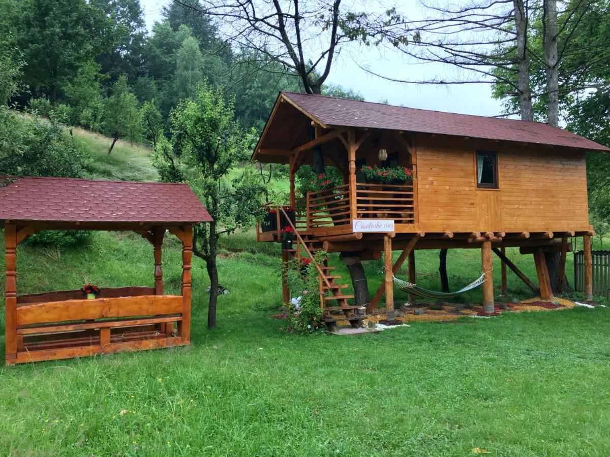 Domeniul Horj Casa Din Cires Moisei Exterior foto
