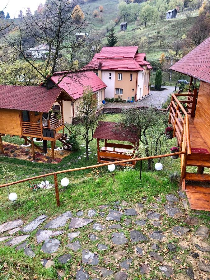 Domeniul Horj Casa Din Cires Moisei Exterior foto