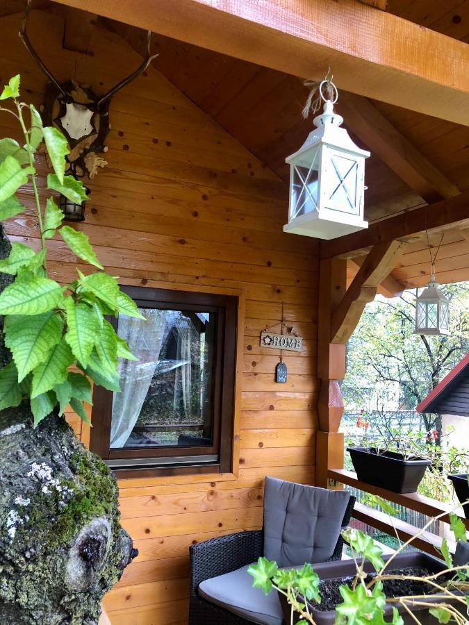 Domeniul Horj Casa Din Cires Moisei Exterior foto