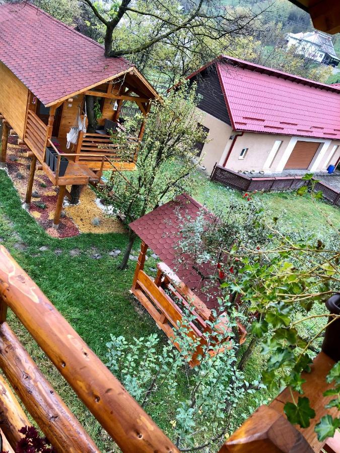 Domeniul Horj Casa Din Cires Moisei Exterior foto