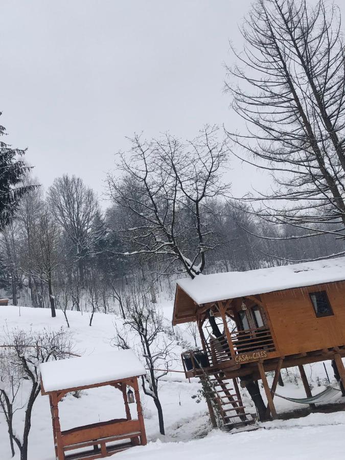 Domeniul Horj Casa Din Cires Moisei Exterior foto