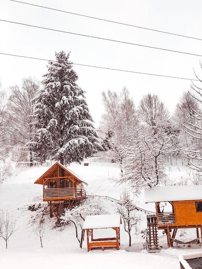 Domeniul Horj Casa Din Cires Moisei Exterior foto