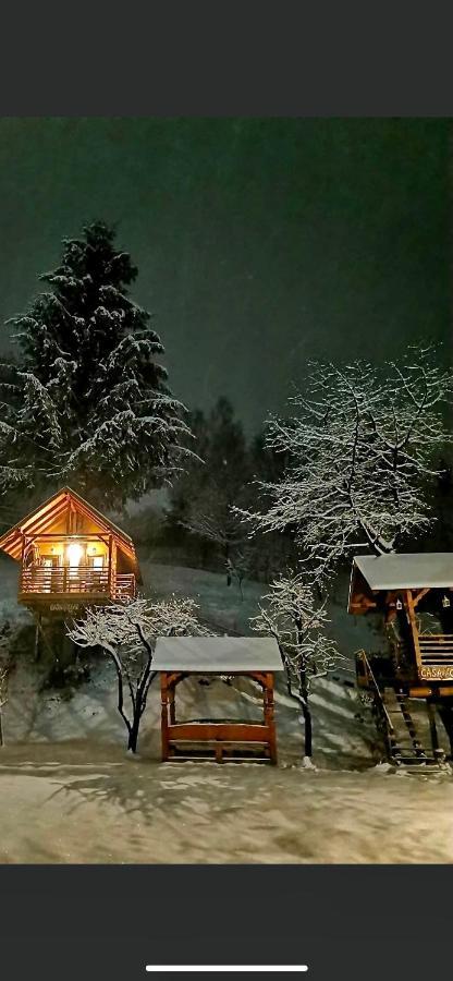 Domeniul Horj Casa Din Cires Moisei Exterior foto