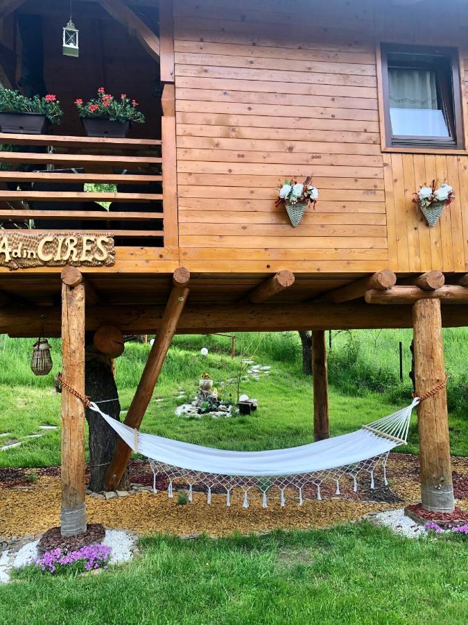 Domeniul Horj Casa Din Cires Moisei Exterior foto