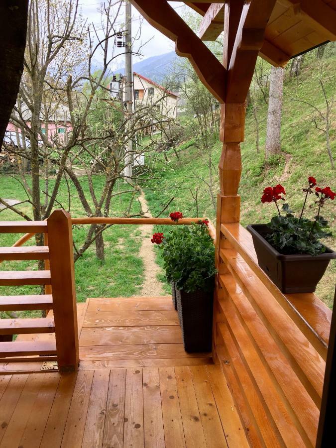 Domeniul Horj Casa Din Cires Moisei Exterior foto