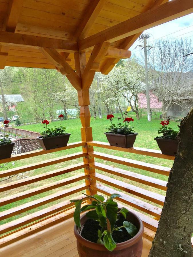 Domeniul Horj Casa Din Cires Moisei Exterior foto
