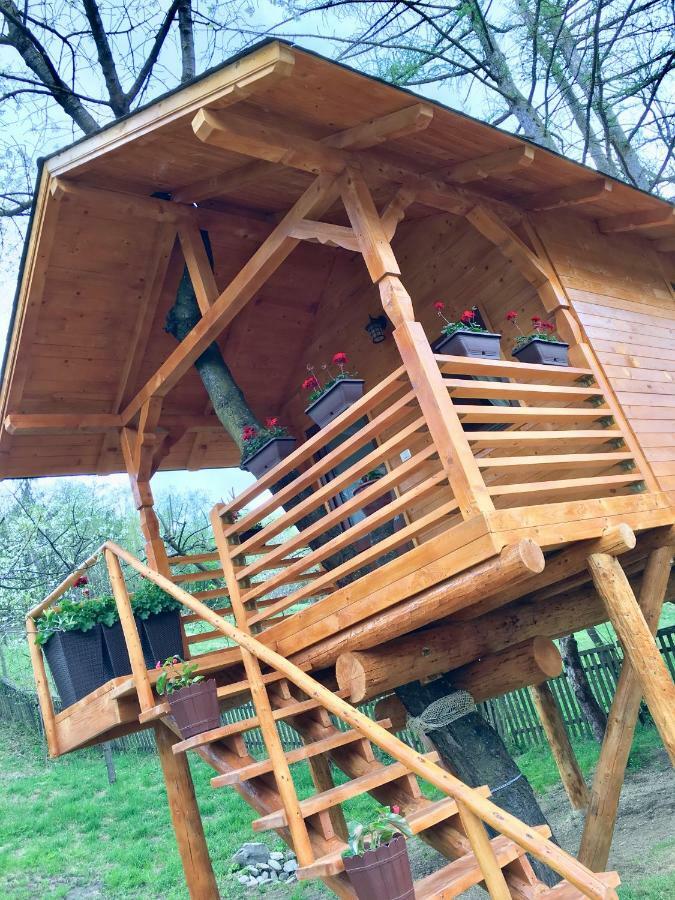Domeniul Horj Casa Din Cires Moisei Exterior foto