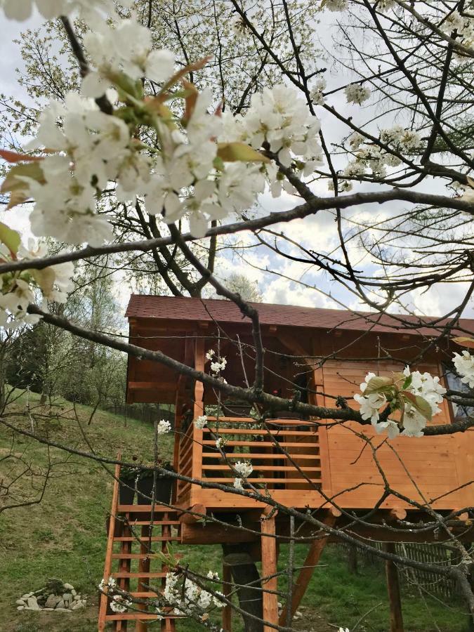 Domeniul Horj Casa Din Cires Moisei Exterior foto