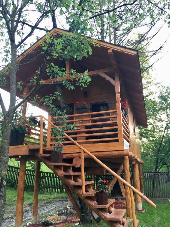 Domeniul Horj Casa Din Cires Moisei Exterior foto